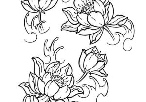 300x210 line drawing of lotus flower image result for lotus line drawing - Japanese Lotus Flower Drawing