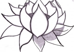 300x210 stylized lotus flower drawing japanese lotus flower drawing - Japanese Lotus Flower Drawing