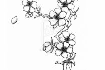 210x140 Tag Japanese Lotus Flower Drawing - Japanese Lotus Flower Drawing