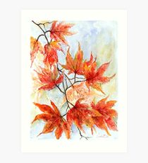 210x230 Japanese Maple Drawing Art Prints Redbubble - Japanese Maple Drawing