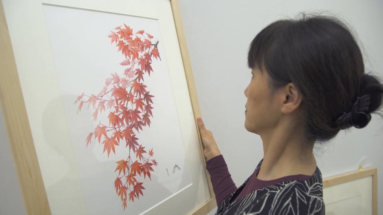 1280x720 Japanese Maple - Japanese Maple Drawing