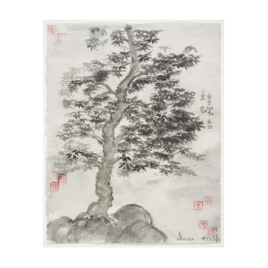 300x300 mist in japanese maple painting - Japanese Maple Drawing