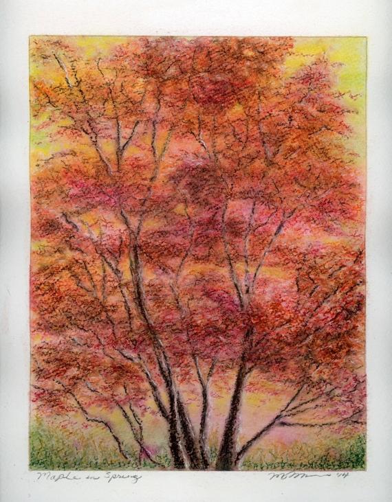 570x731 Pastel Drawing The Japanese Maple In Spring Framed Etsy - Japanese Maple Drawing