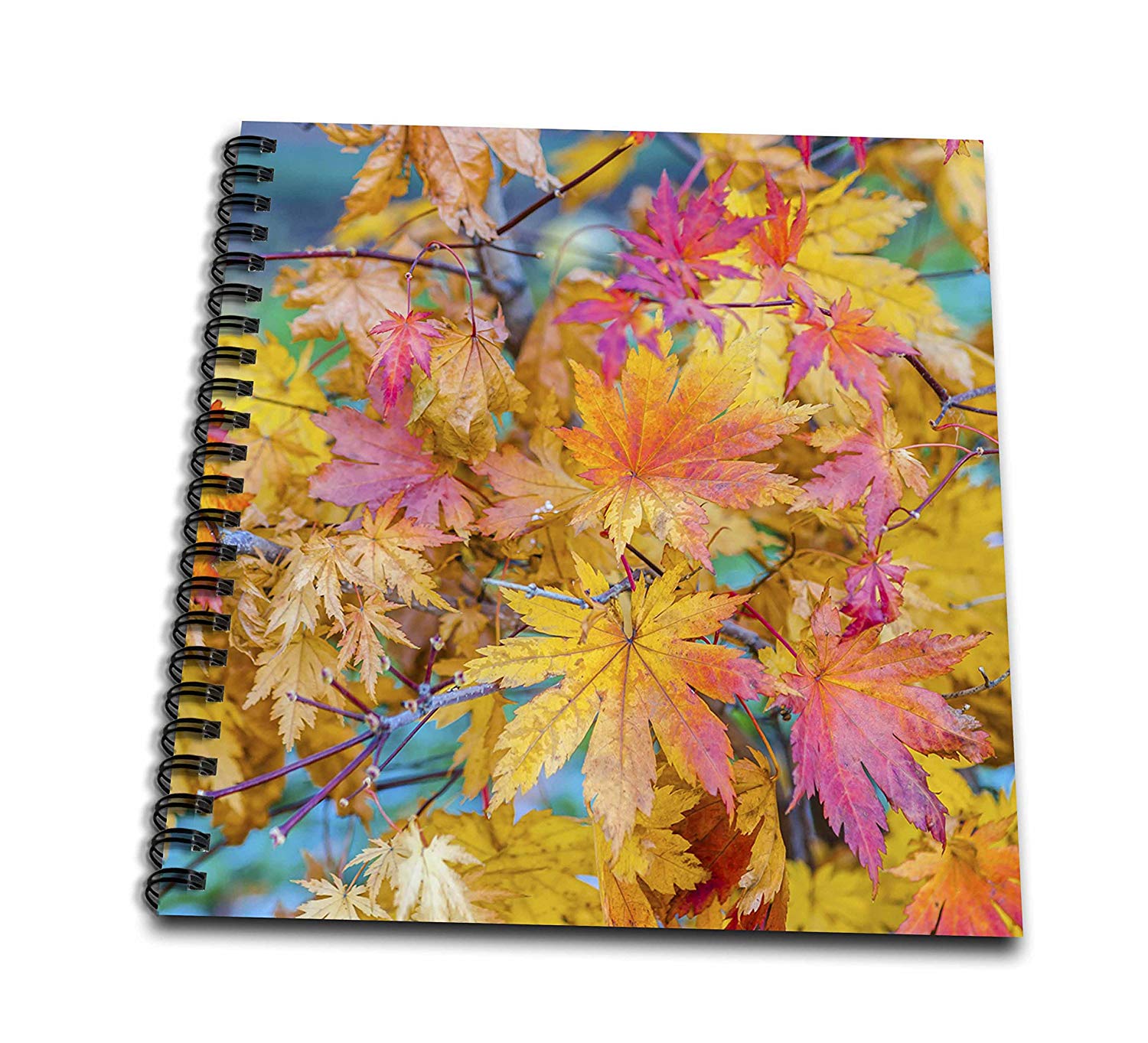 1500x1363 cheap drawing maple tree, find drawing maple tree deals on line - Japanese Maple Drawing