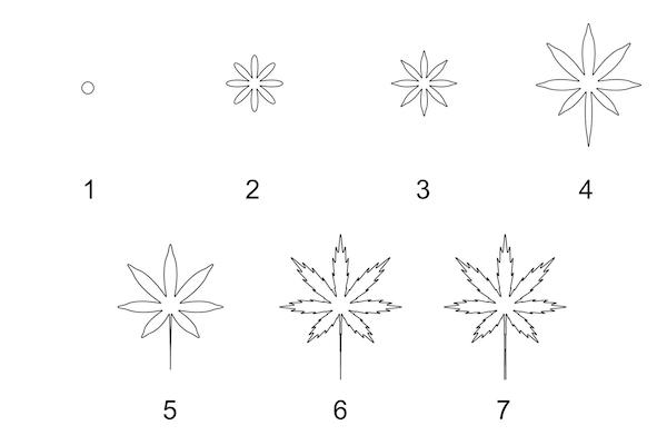600x400 How To Draw With Math - Japanese Maple Drawing