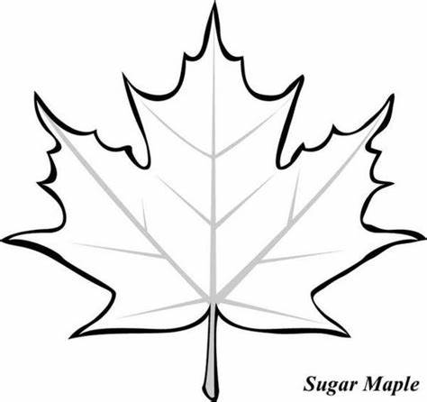 474x446 Japanese Maple Leaf Drawing Gtgt - Japanese Maple Leaf Drawing