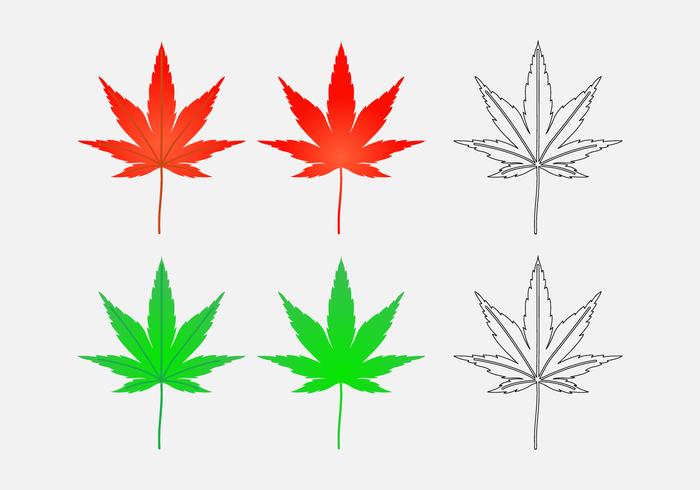 700x490 japanese maple leaf japanese maple leaf vectors download free - Japanese Maple Leaf Drawing