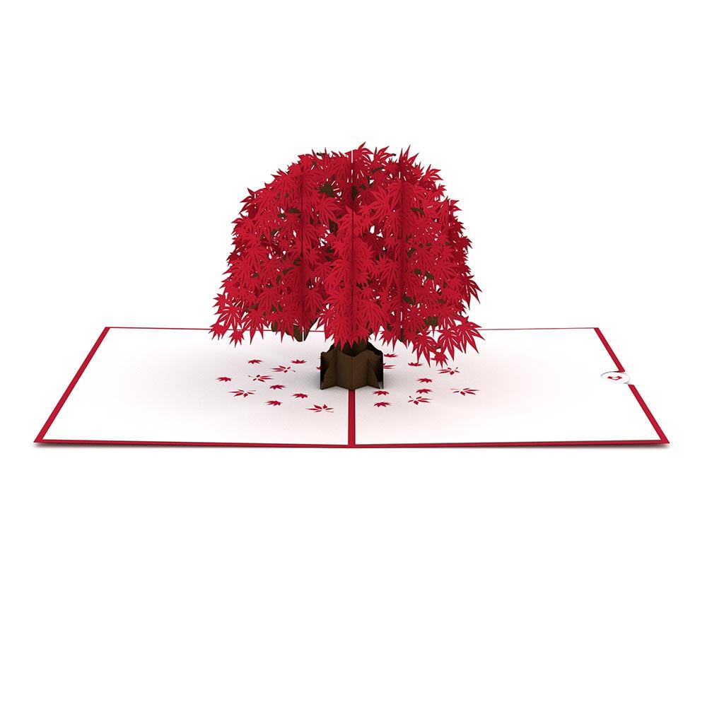1000x1000 Japanese Maple Pop Up Card - Japanese Maple Tree Drawing