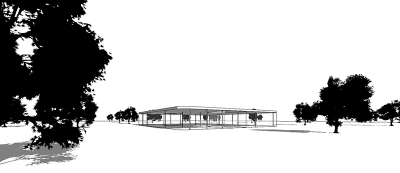 800x346 Japanese Maple Tree For Revit - Japanese Maple Tree Drawing