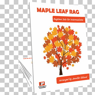 310x310 Page Japanese Maple Png Cliparts For Free Download Uihere - Japanese Maple Tree Drawing