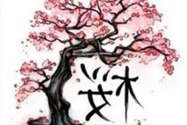 210x140 Tag Japanese Maple Tree Drawing - Japanese Maple Tree Drawing
