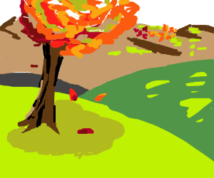 300x250 Beautiful Japanese Maple Tree Forest In Autumn Drawing - Japanese Maple Tree Drawing