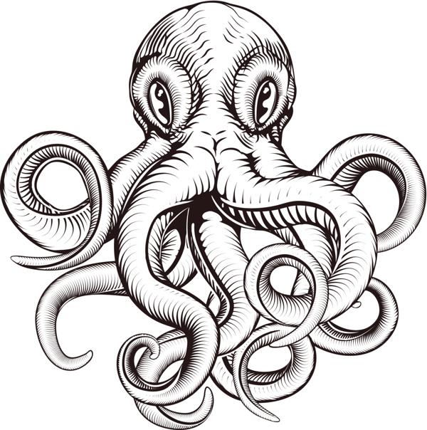 600x604 Octopus Drawing Traditional For Free Download - Japanese Octopus Drawing