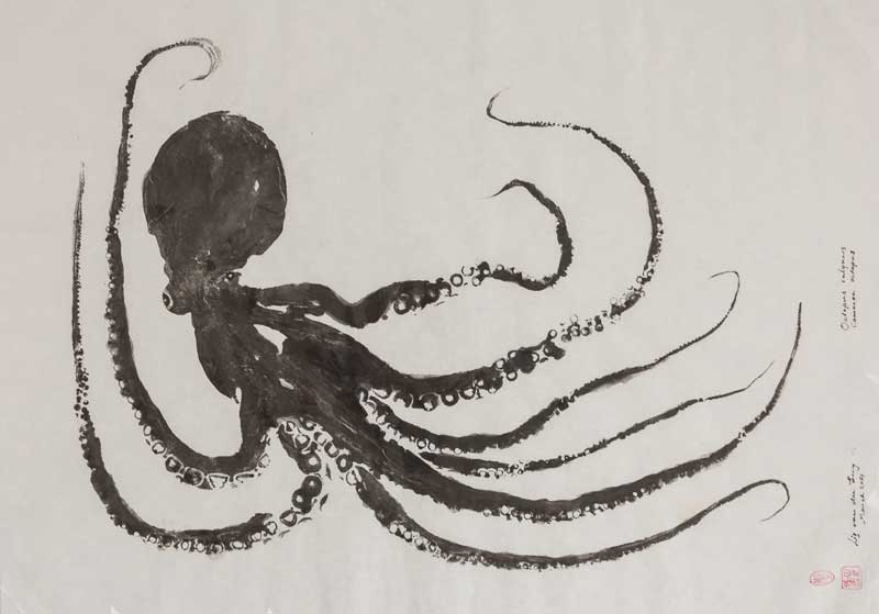 800x559 liz van der berg, octopus, japanese fish print - Japanese Octopus Drawing
