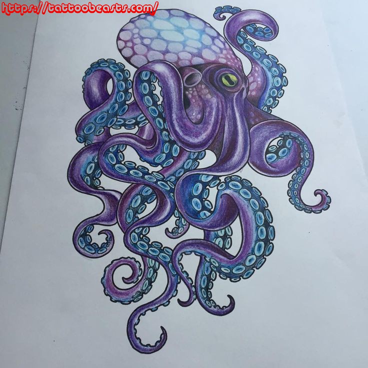 736x736 Octopus Tattoo Design Ideas For Men And Woman - Japanese Octopus Drawing