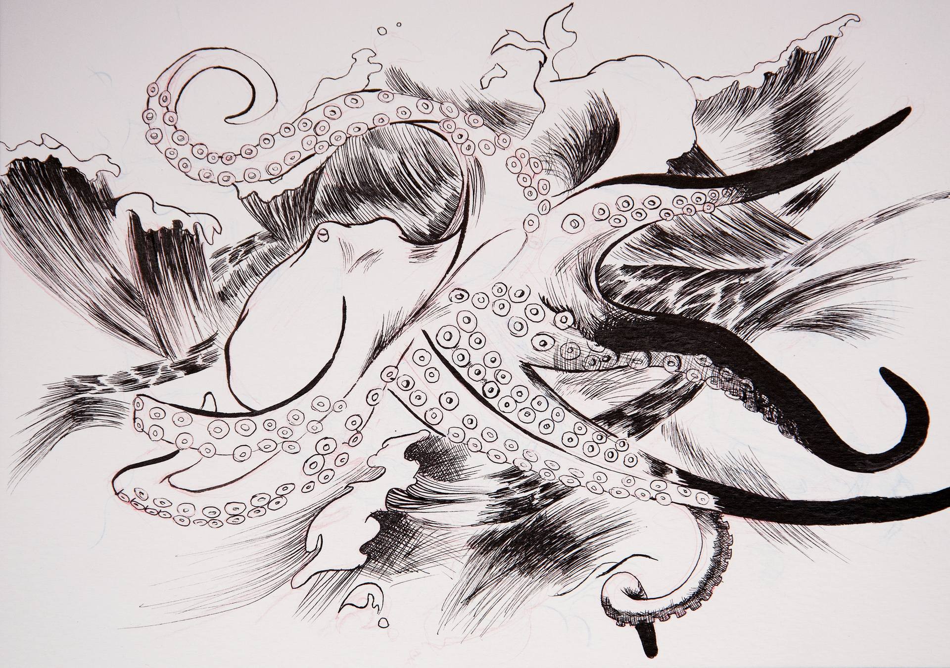 1920x1350 Octopus Drawing - Japanese Octopus Drawing