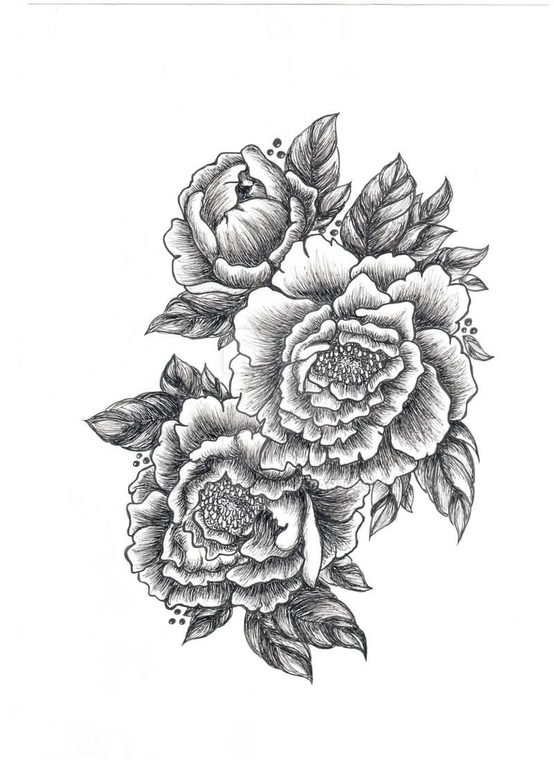 800x1101 latest peony tattoo designs on image result for japanese peony - Japanese Peony Drawing