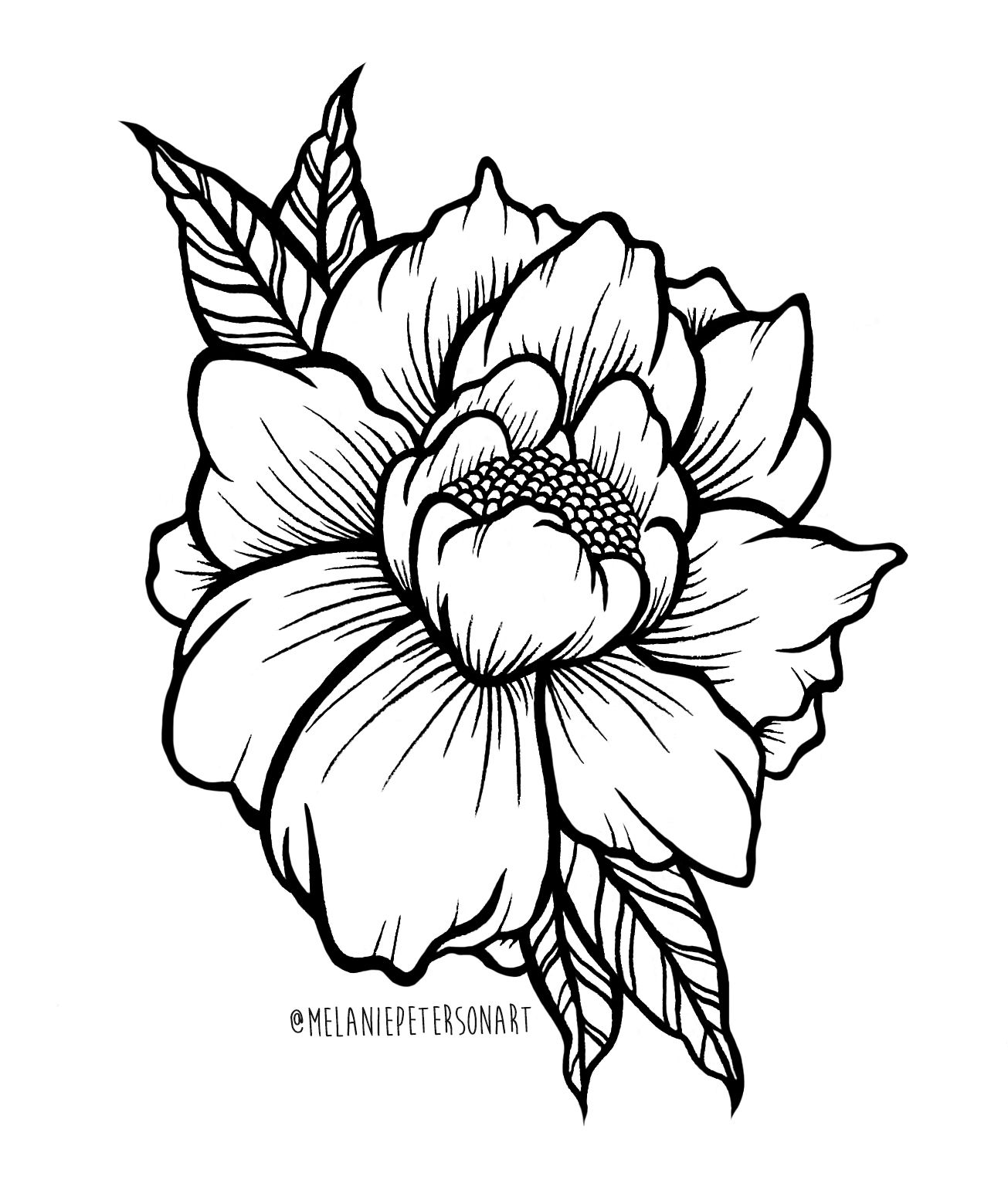 1305x1541 Linework Japanese Peony Drawings - Japanese Peony Drawing