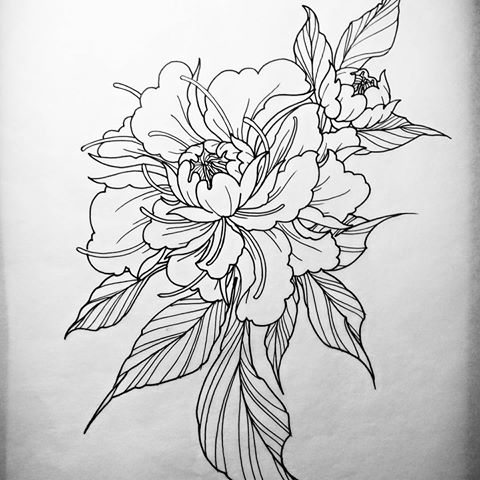 Japanese Peony Drawing at PaintingValley.com | Explore collection of ...