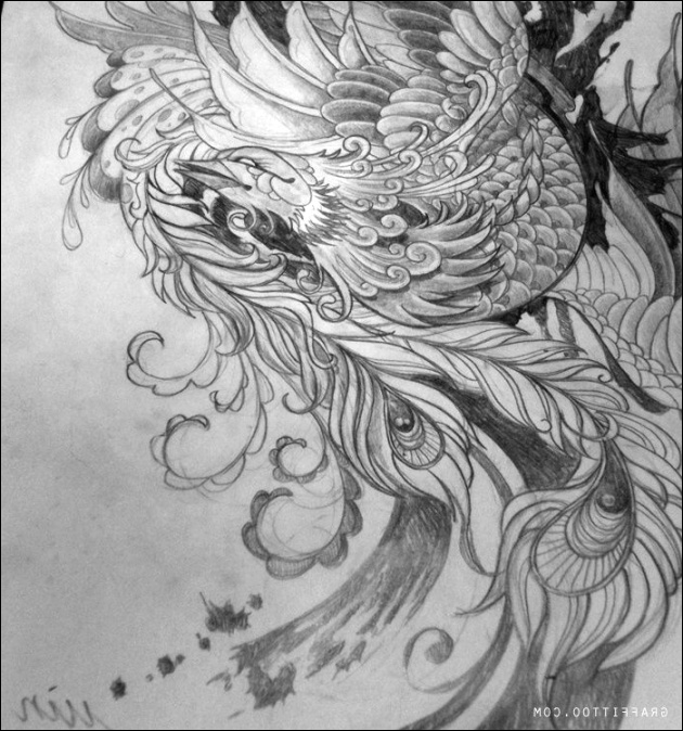 Japanese Phoenix Drawing