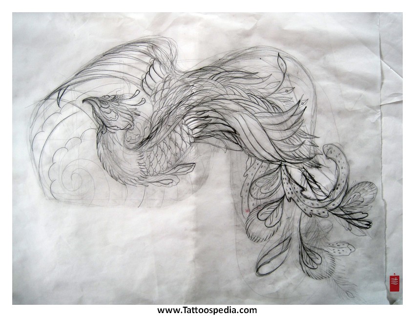 850x650 Japanese Phoenix Tattoo For Women - Japanese Phoenix Drawing