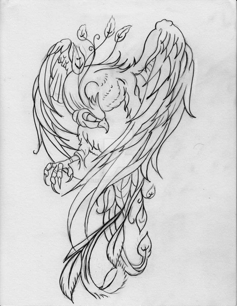 787x1016 Phoenix - Japanese Phoenix Drawing