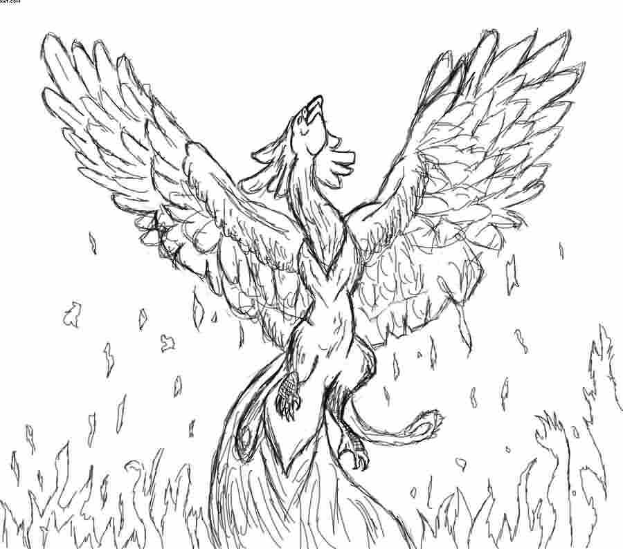 900x794 Phoenix Drawing Free Download - Japanese Phoenix Drawing