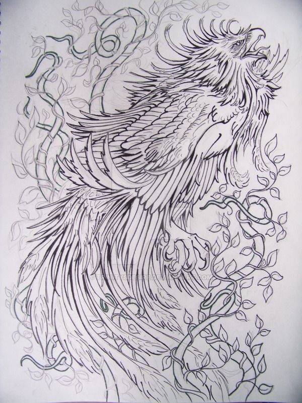 600x800 Tattoos!! Tattoo Designs, Japanese - Japanese Phoenix Drawing
