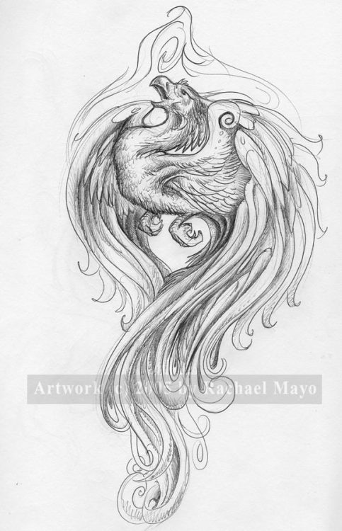 483x750 Traditional Japanese Phoenix Drawing - Japanese Phoenix Drawing