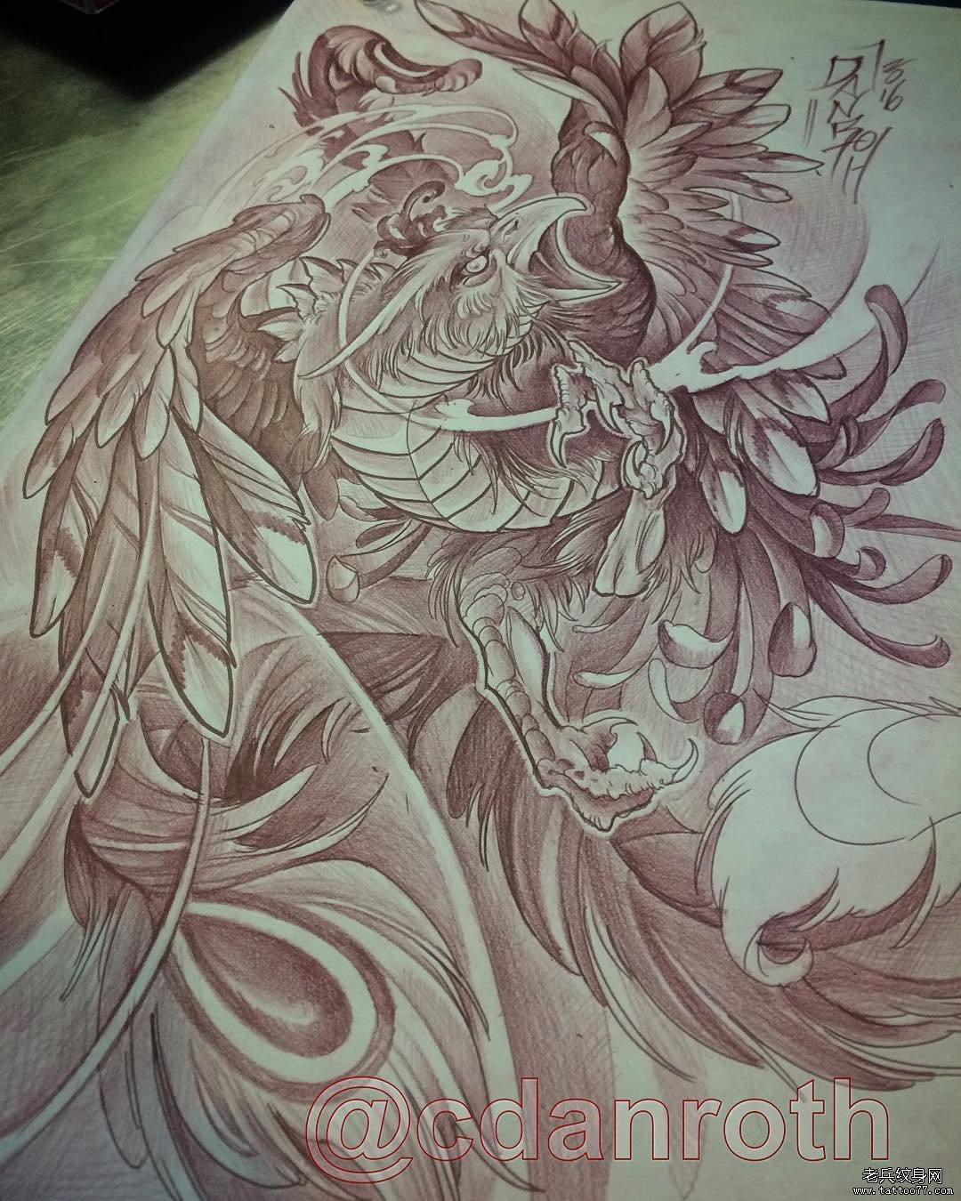 1080x1350 Traditional Japanese Phoenix Drawing - Japanese Phoenix Drawing