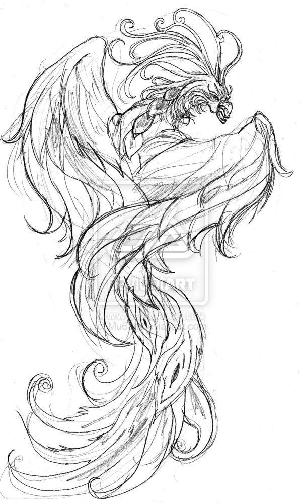 600x1001 Japanese Phoenix Drawing Phoenix Design - Japanese Phoenix Drawing