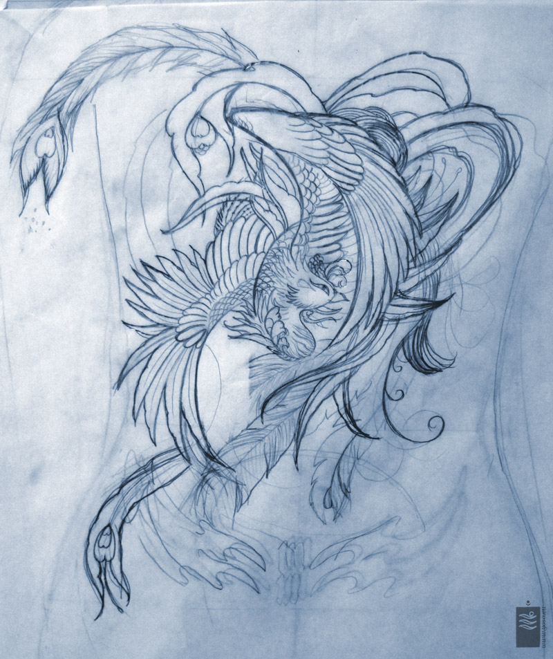 800x953 Collection Of Traditional Japanese Phoenix Drawing Hi On Lex - Japanese Phoenix Drawing