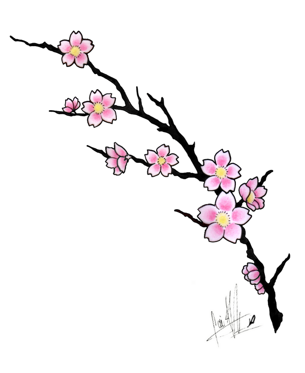 600x735 Collection Of Free Trees Drawing Japanese Blossom Download On Ui Ex - Japanese Sakura Drawing