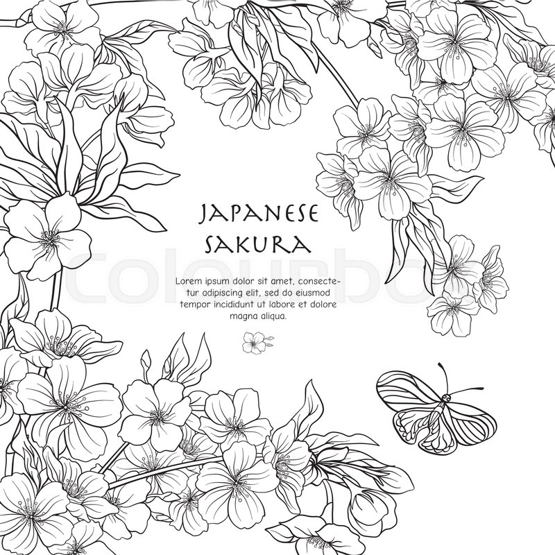 800x800 Illustrations With Japanese Blossom Stock Vector Colourbox - Japanese Sakura Drawing