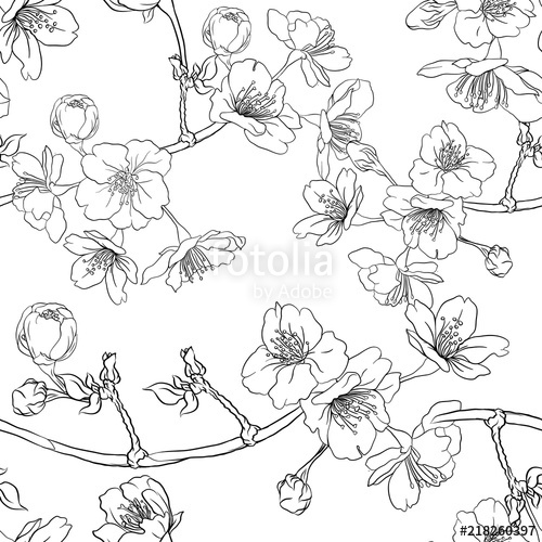 500x500 Seamless Pattern, Background With Blooming Cherry Japanese Sakura - Japanese Sakura Drawing