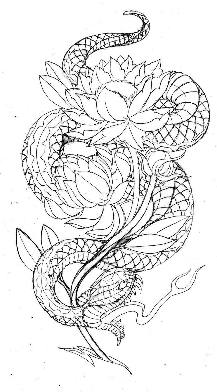 Japanese Snake Drawing at PaintingValley.com | Explore collection of ...