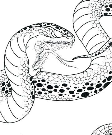 360x432 Japanese Snake Head Drawings - Japanese Snake Drawing