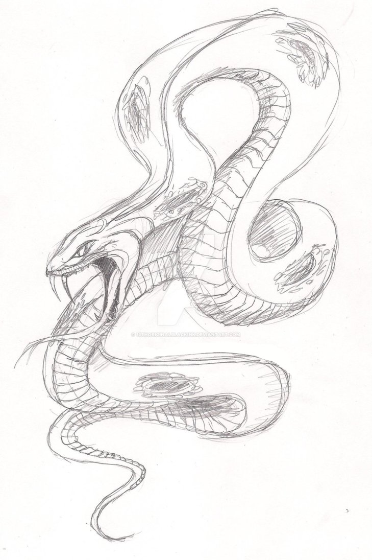729x1096 Japanese Style Snake - Japanese Snake Drawing