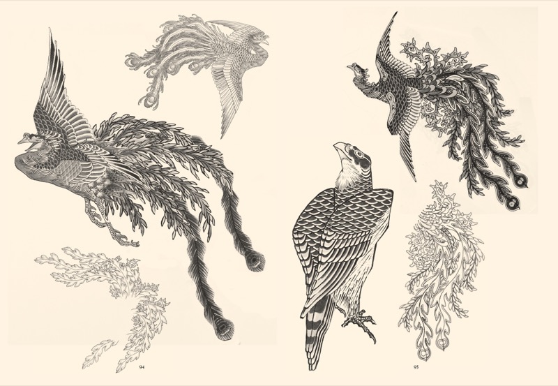 800x553 Japanese Tattoo Designs Buch Von Ichibay Tattoo Artist Japan - Japanese Tattoo Drawing