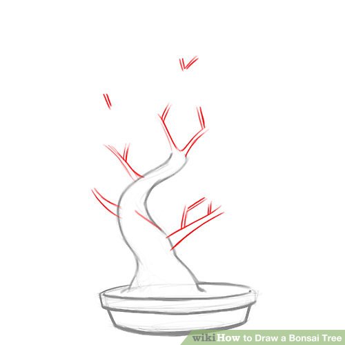 500x500 How To Draw A Bonsai Tree Steps - Japanese Tree Drawing