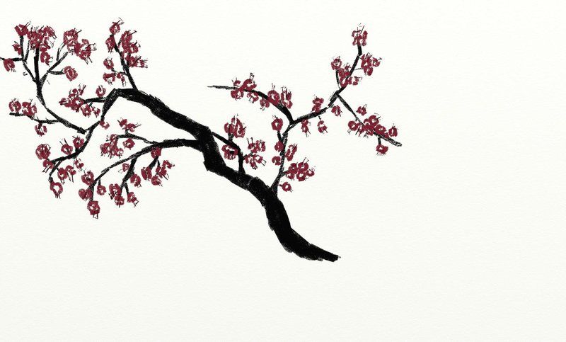 Japanese Tree Drawing at PaintingValley.com | Explore collection of