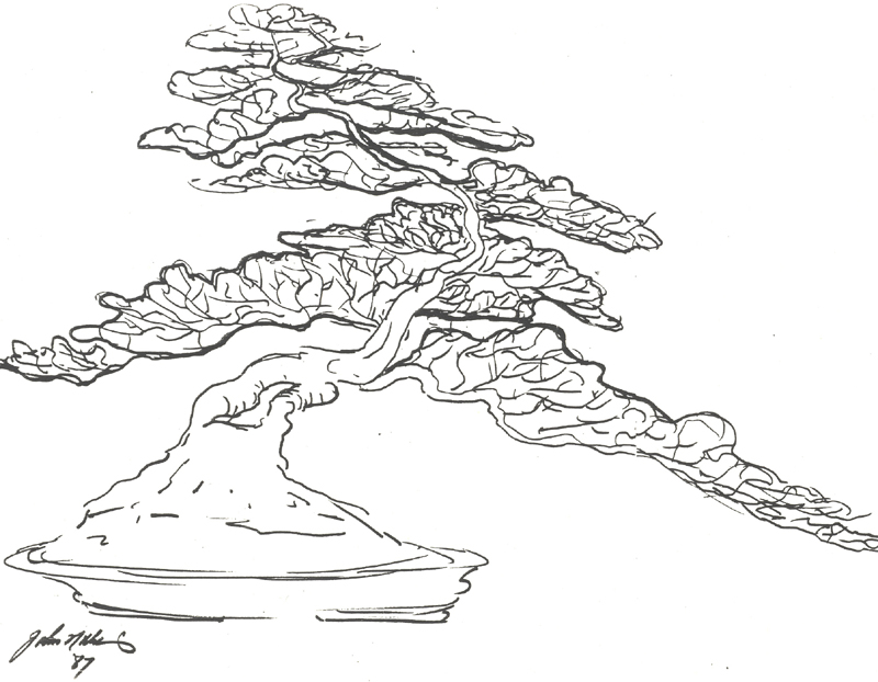 Japanese Tree Drawing at PaintingValley.com | Explore collection of