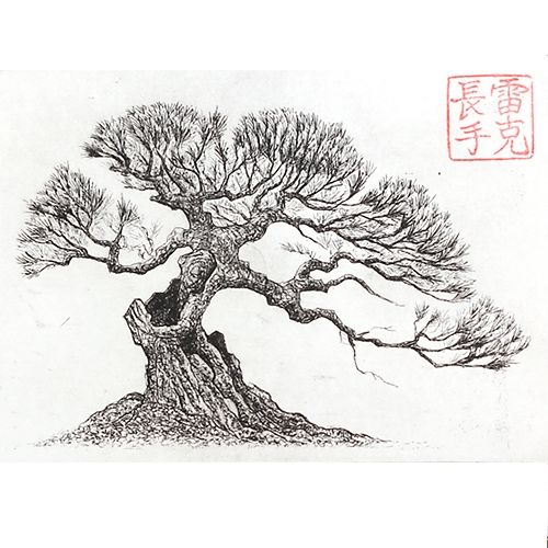 Japanese Tree Drawing at Explore collection of