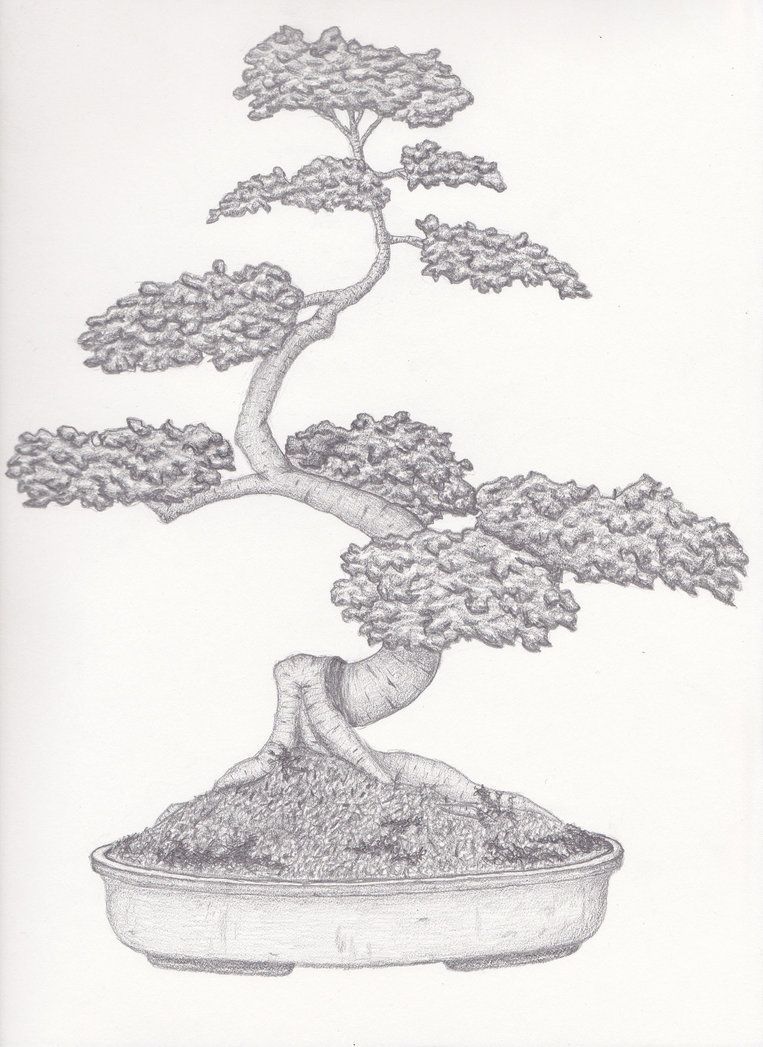 763x1047 Japanese Trees Tattoos - Japanese Tree Drawing