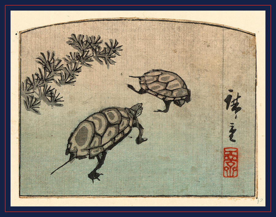 900x706 Kame, Turtles Between And Print Woodcut Drawing - Japanese Turtle Drawing
