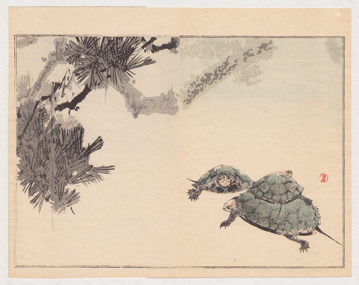 700x556 Original Japanese Woodblock Print Turtles - Japanese Turtle Drawing