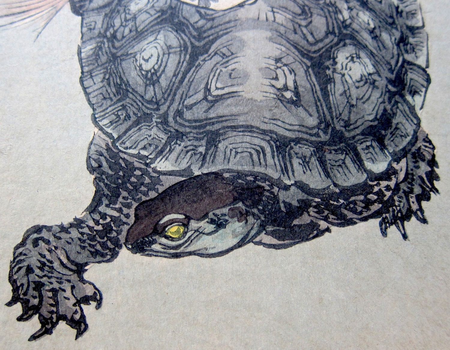 1500x1167 Tortoise In Turtle Painting, Turtle - Japanese Turtle Drawing