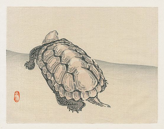 555x435 kono bairei japanese woodblock prints art far east animals - Japanese Turtle Drawing