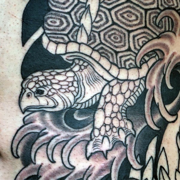 599x598 Japanese Turtle Tattoo Ideas For Men - Japanese Turtle Drawing