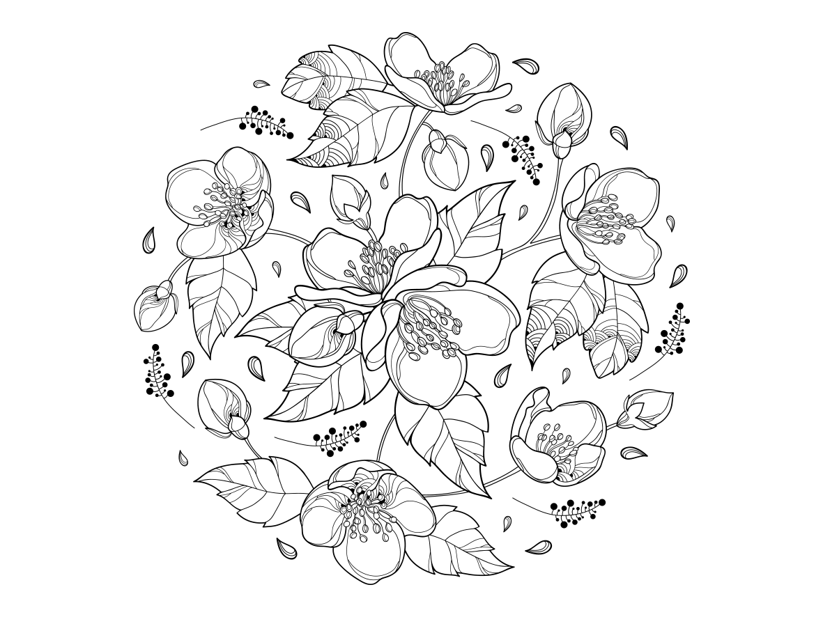1181x886 Round Bouquet With Jasmine Flowers - Jasmine Drawing Flower